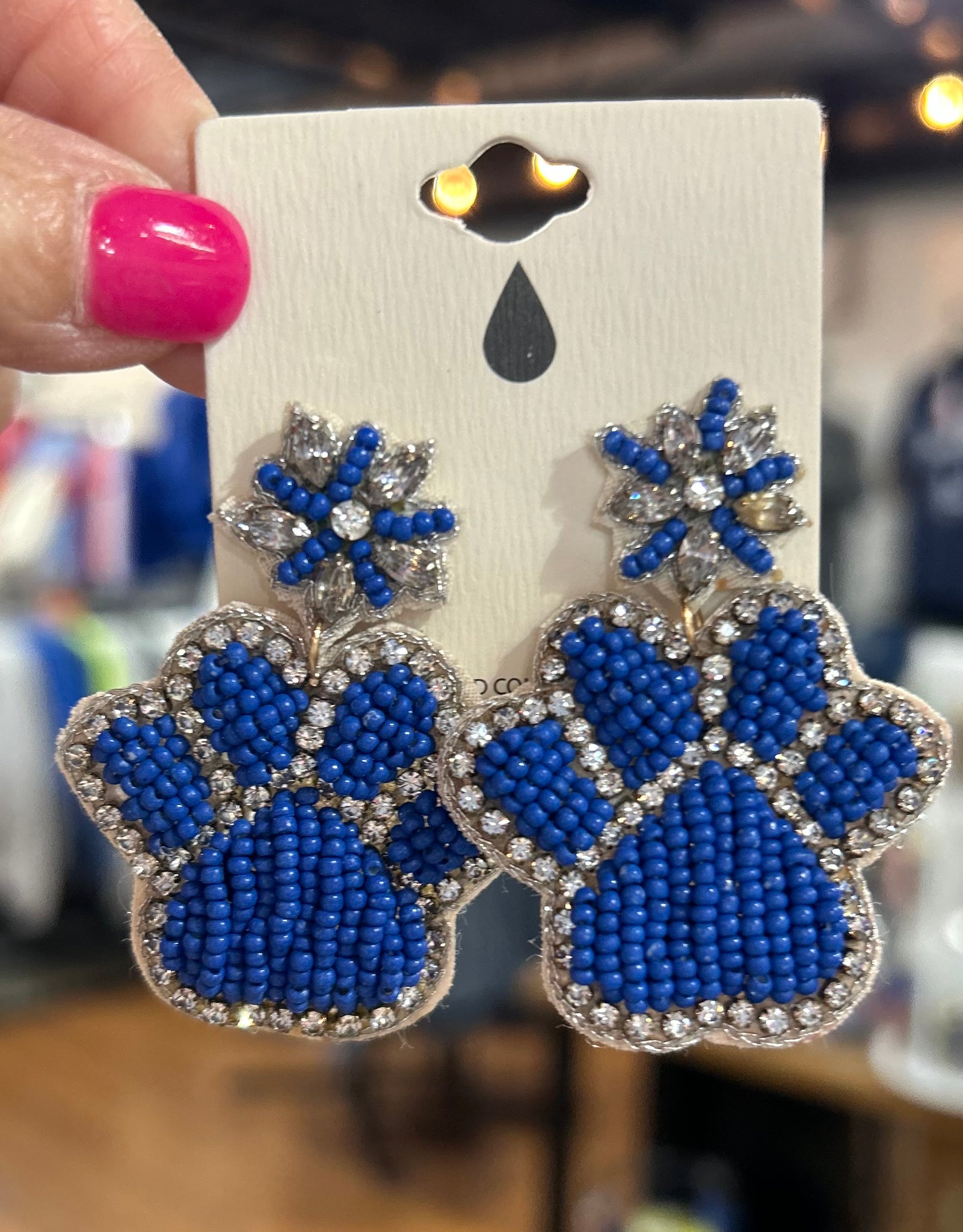 Blue Stone and Bead Paw Earrings