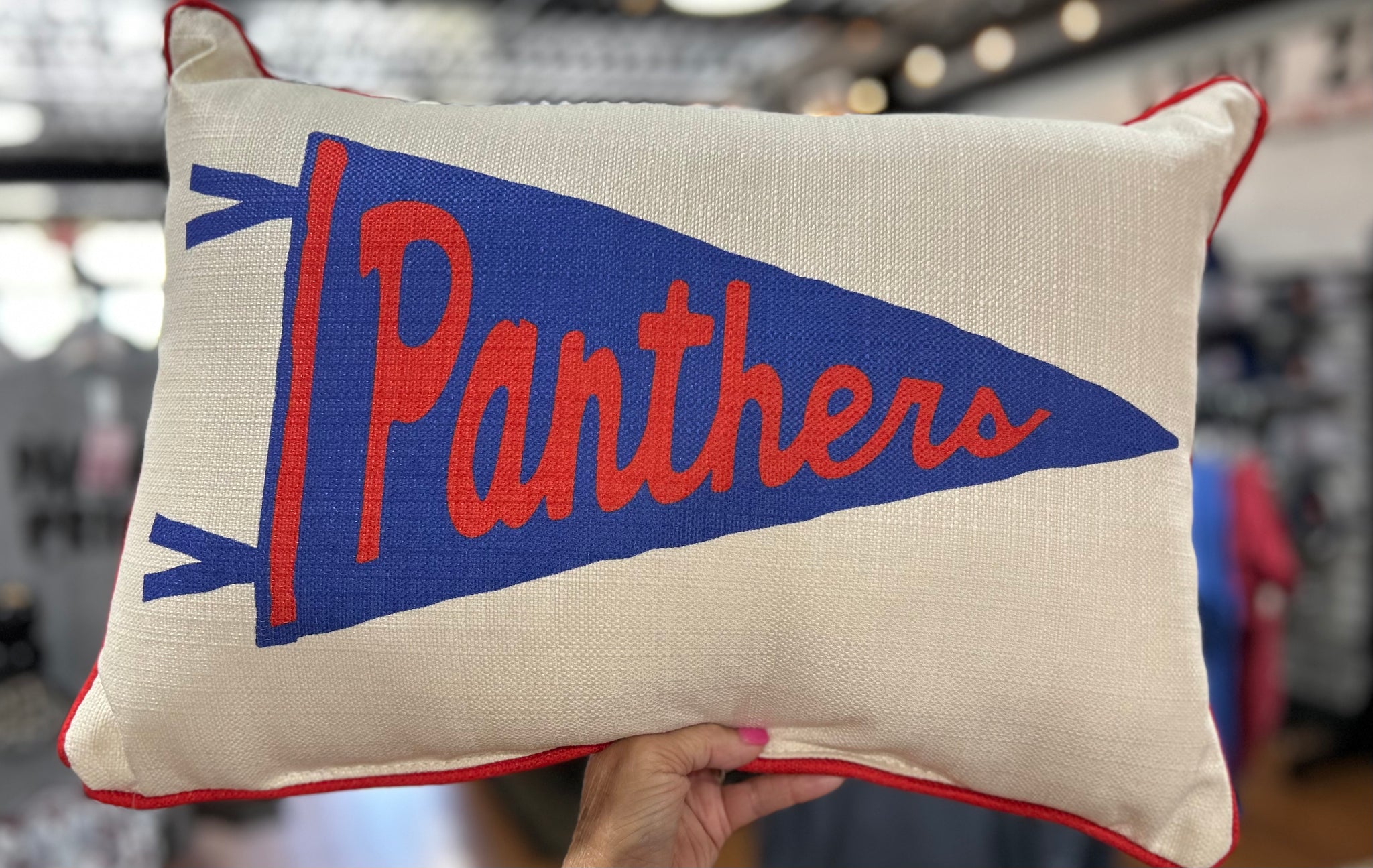 Panthers Pennant Pillow